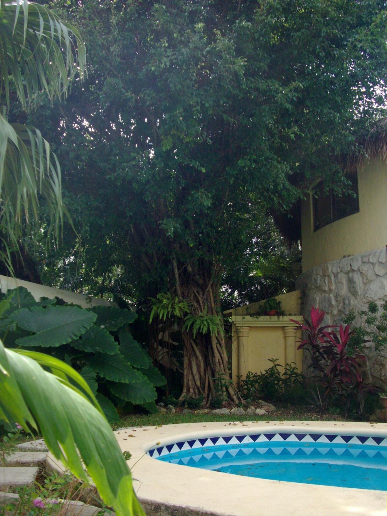 Residencia Los Encantos Канкун Экстерьер фото